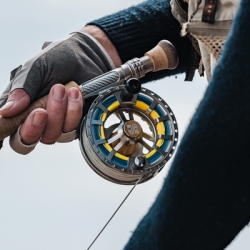 Handschuh / Gürtel / Neck