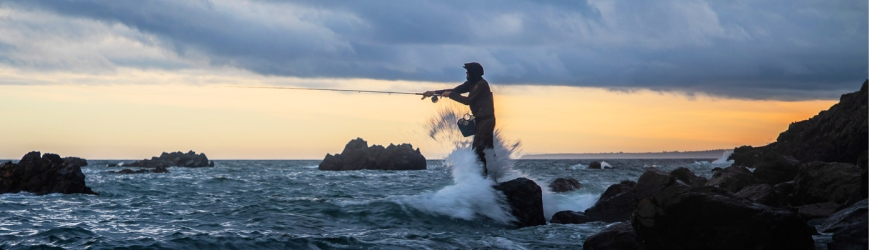 Beulah Fliegenschnüre