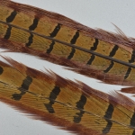 Pheasant Tail Natural