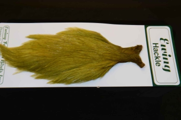 Ewing Hackle Hahnenbalg Golden Olive 