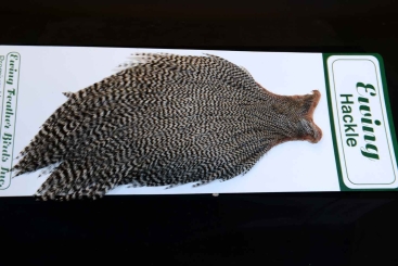 Ewing Hackle Hahnenbalg Grizzly 