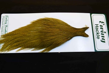 Ewing Hackle Hahnenbalg Bleached Grizzly Dyed Light Olive 