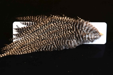 Ewing Hackle Hahnensattel Wooly Bugger Packet Grizzly 