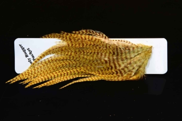 Ewing Hackle Hahnensattel Wooly Bugger Packet Bleached Grizzly Dyed Light Olive 