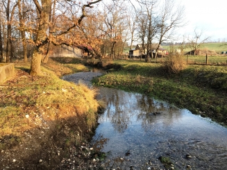 Kinschbach Kombi-Karten 2025 & 2026 