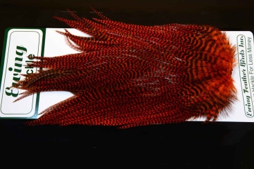 Ewing Hackle Hahnensattel Grizzly Dyed Orange 