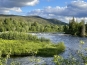morepic-3